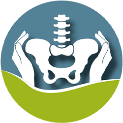 Physiotherapie-Praxis Hamburg | Beckenboden Check-up Beckenbodenphysiotherapie Beschwerden Rektusdiastase Bauchwandschwäche Narbenbehandlung